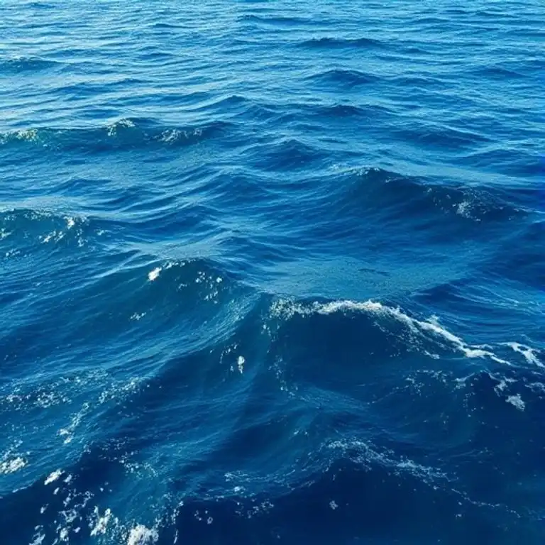 Ocean Waves